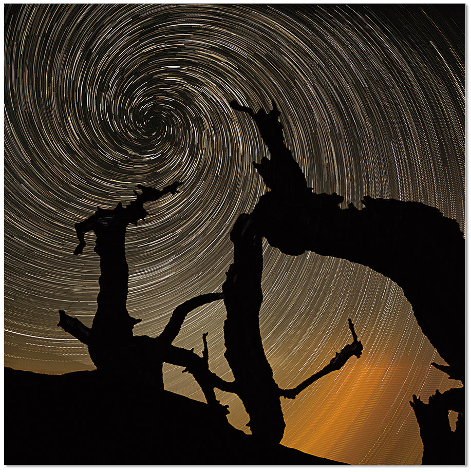 Aurora Wall Art