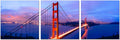 Wall Art Golden Gate Bridge