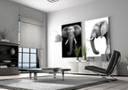 Tusk Wall Art