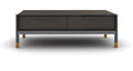 Bosa Coffee Table with Soft-Close Storage and Brass Accents