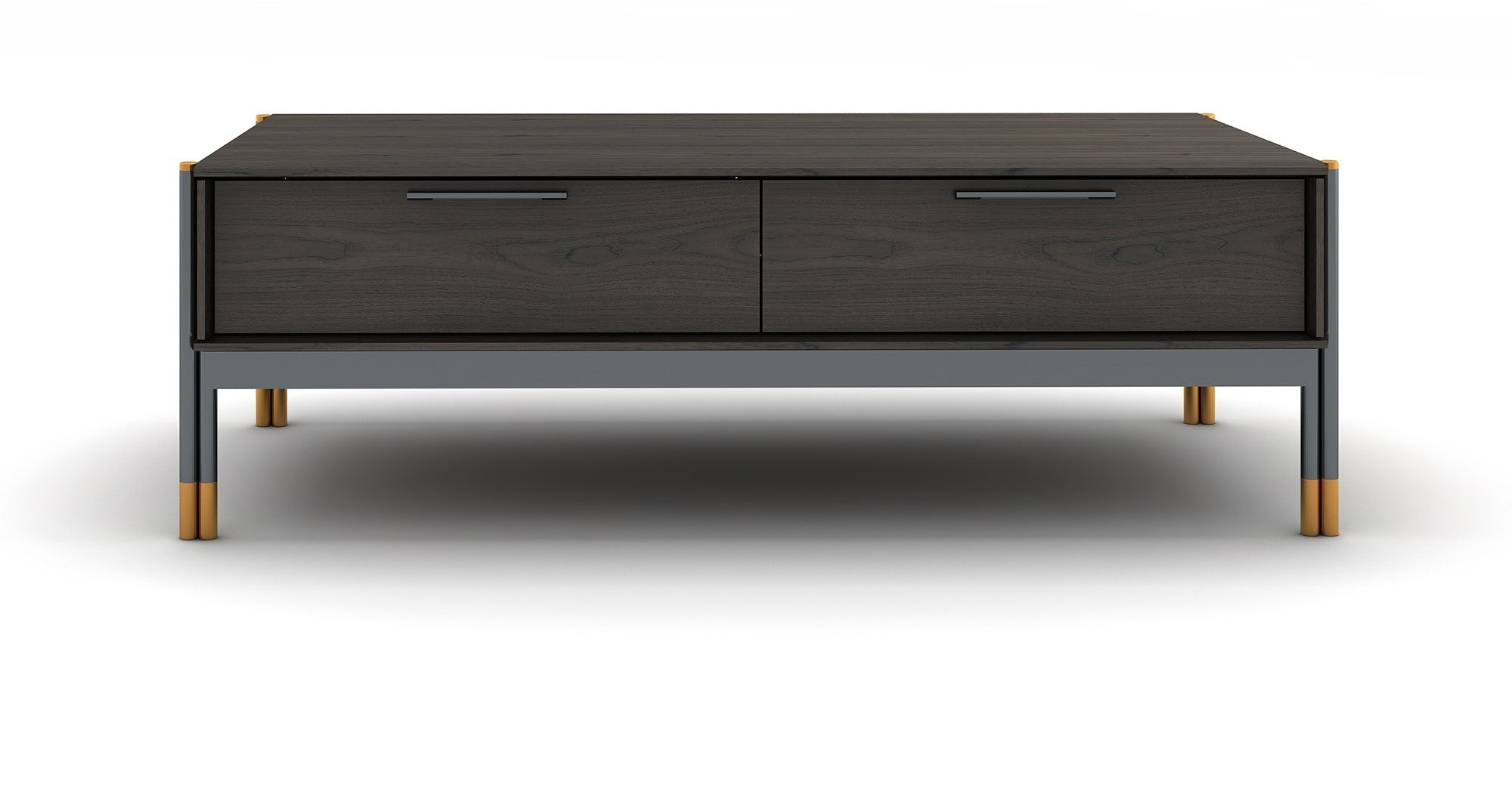 Bosa Coffee Table with Soft-Close Storage and Brass Accents