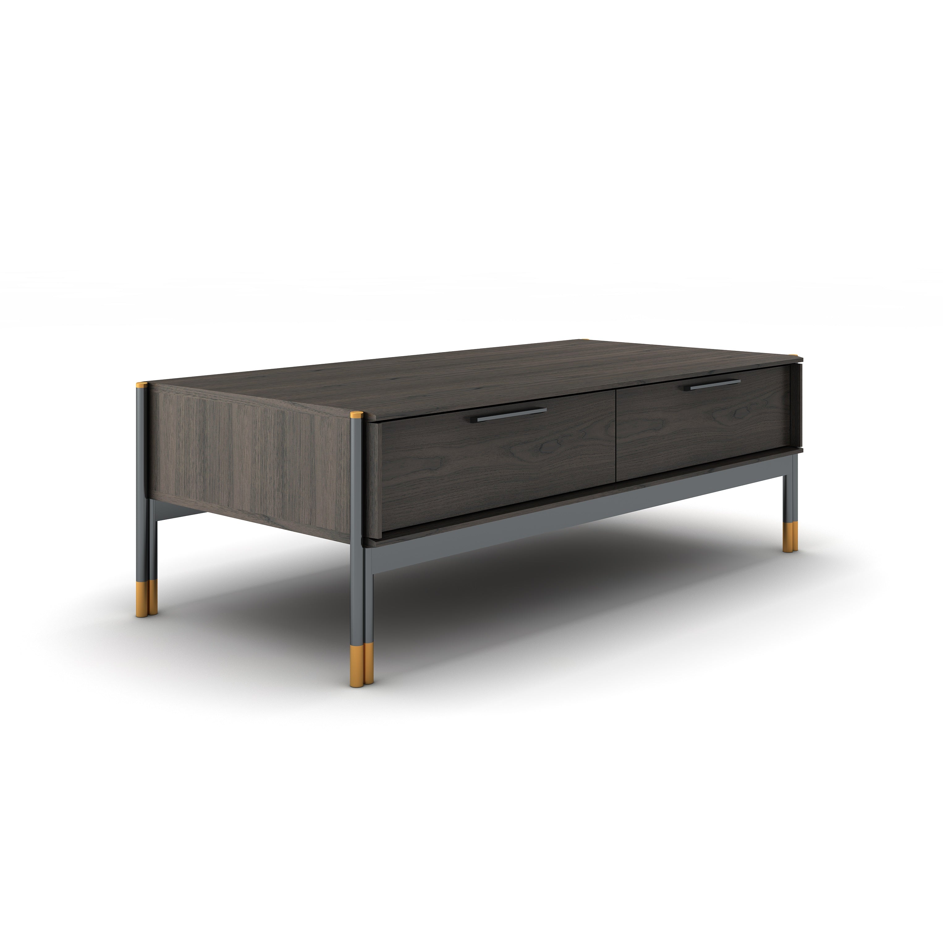 Bosa Coffee Table with Soft-Close Storage and Brass Accents