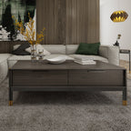 Bosa Coffee Table with Soft-Close Storage and Brass Accents