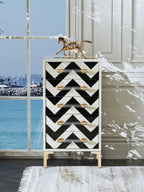 Bright-Finish Accent Chest with Stainless Steel Hardware