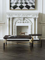 Black Veneer Coffee Table with Brushed-Gold Steel and Wood Feet