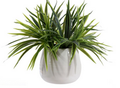 Faux Orchid Potted Plant