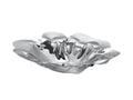 Polished Stainless Steel Fruit Plate