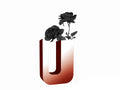 Polished Rose Gold "U" Vase