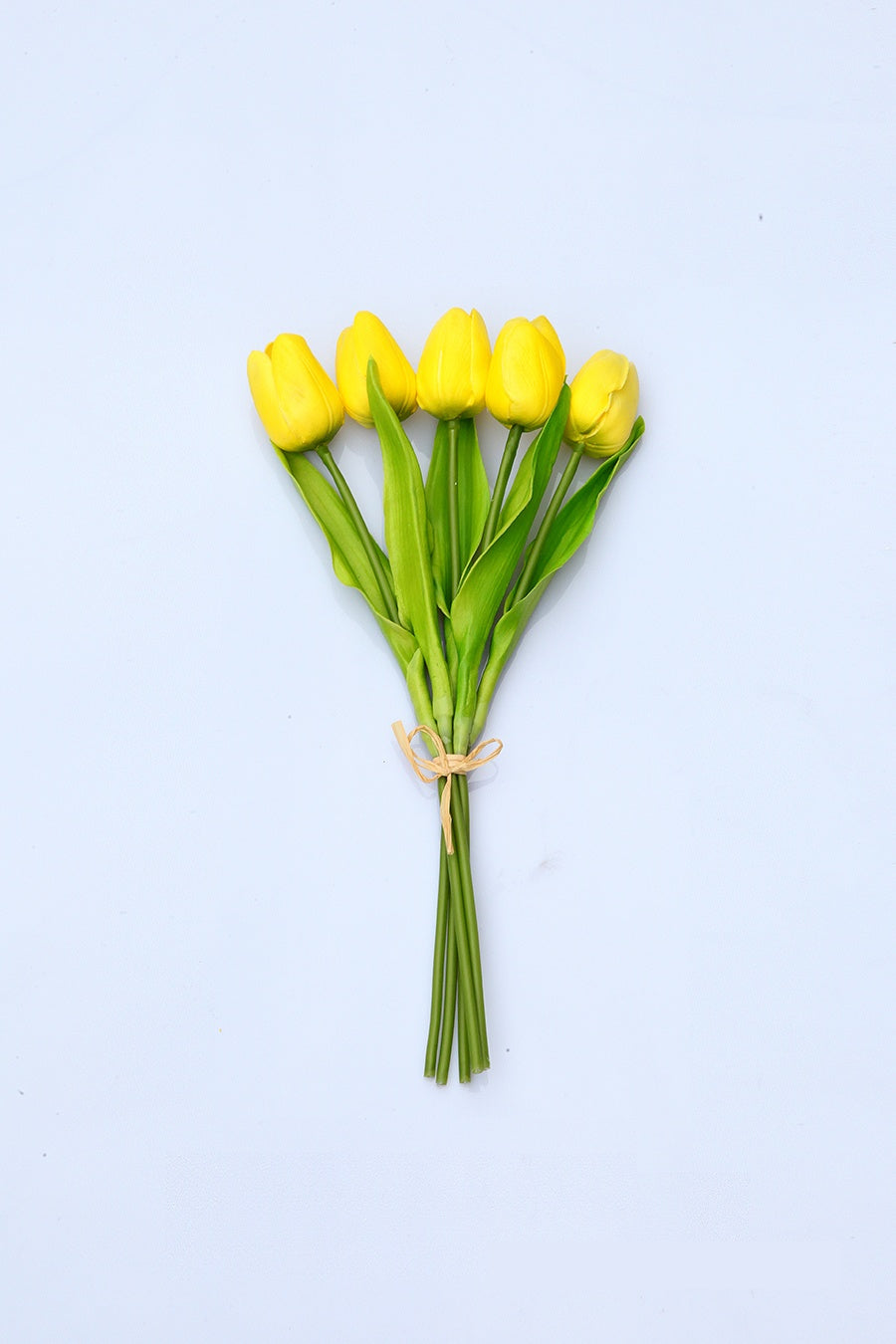 Yellow Tulipa Gesnerianal Flower Decor
