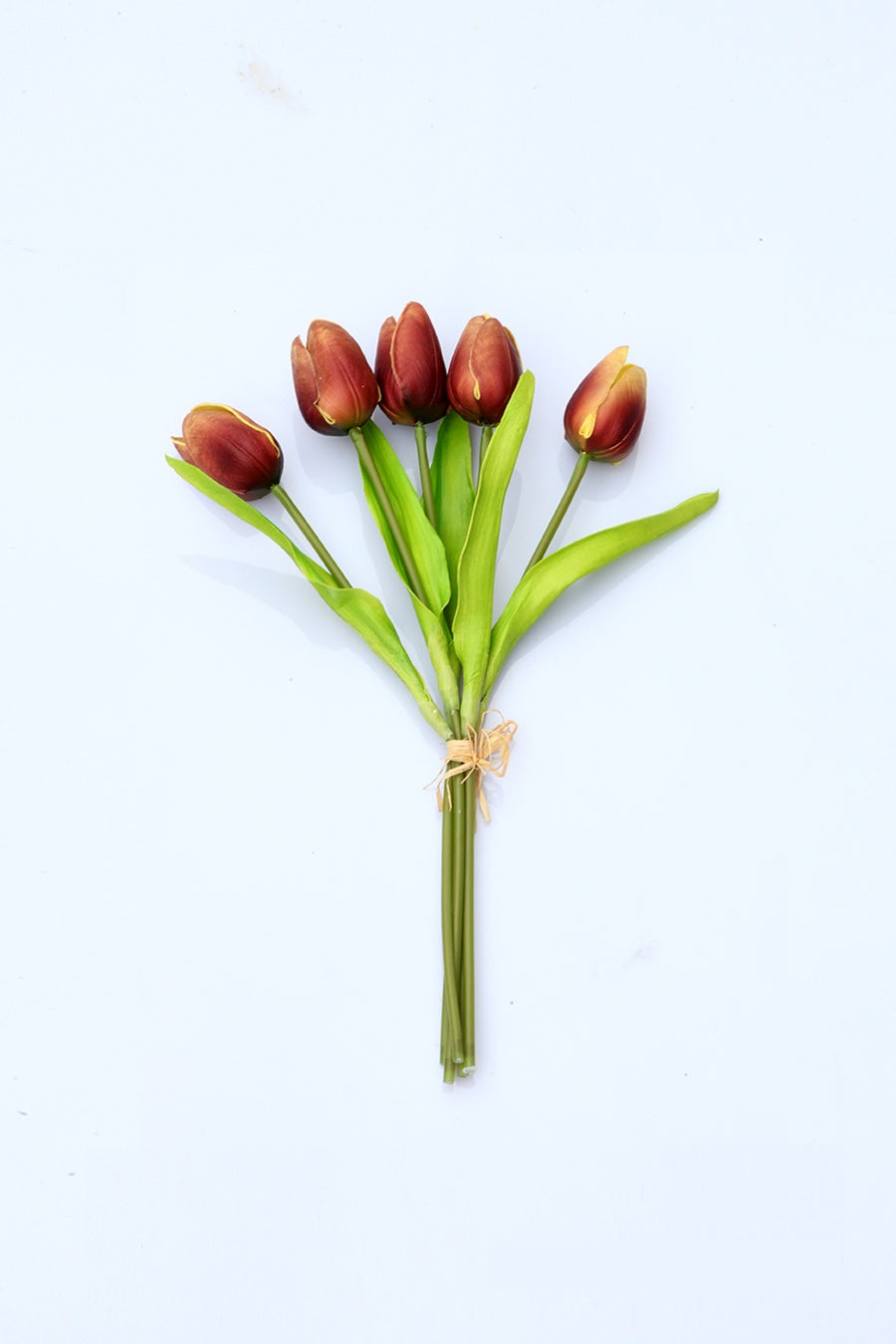 Brown Tulipa Gesnerianal Flower Decor