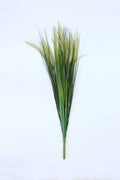 Green Elsholtzia Cypriani Flower Decor