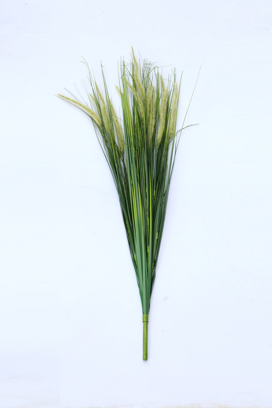 Green Elsholtzia Cypriani Flower Decor