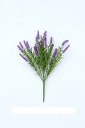 Purple Decorative Flower