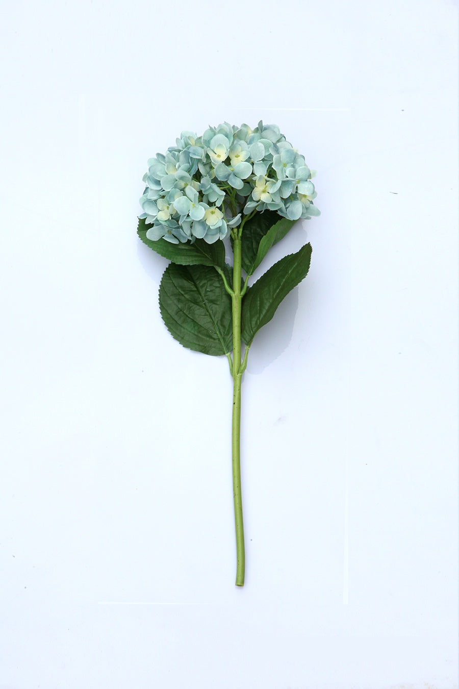 Blue Decorative Flower