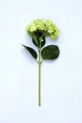 Green Decorative Flower