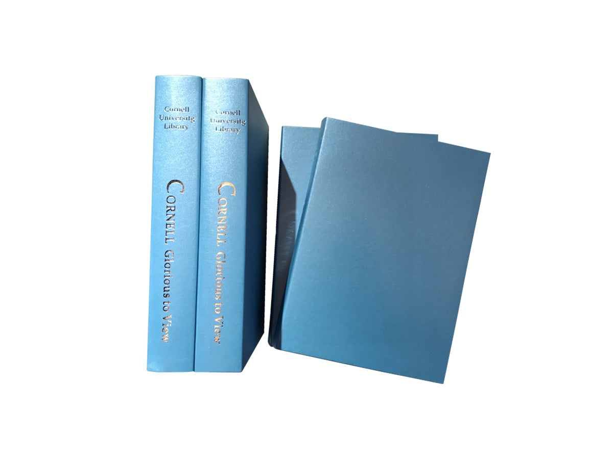 Blue Decorative Book