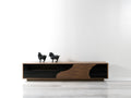 Modern TV Console