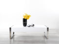 Modern Coffee Table