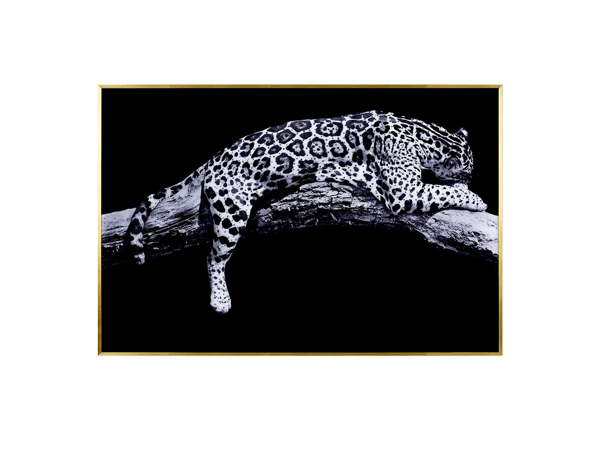 Multicolor Aluminum Cheetah Wall Décor
