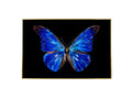 Multicolor Aluminum Butterfly Wall Décor