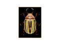 Multicolor Rhinestone Hanging Beetle Wall Decor — Design 2
