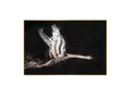 Sculptural Swan Wall Accent