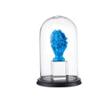 Large Table & Shelf Decors Glass Cover
