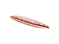 Small Polished Rose Gold Fruit Plate