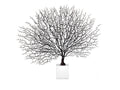 Sea Whip Gorgonian Decorative Accent