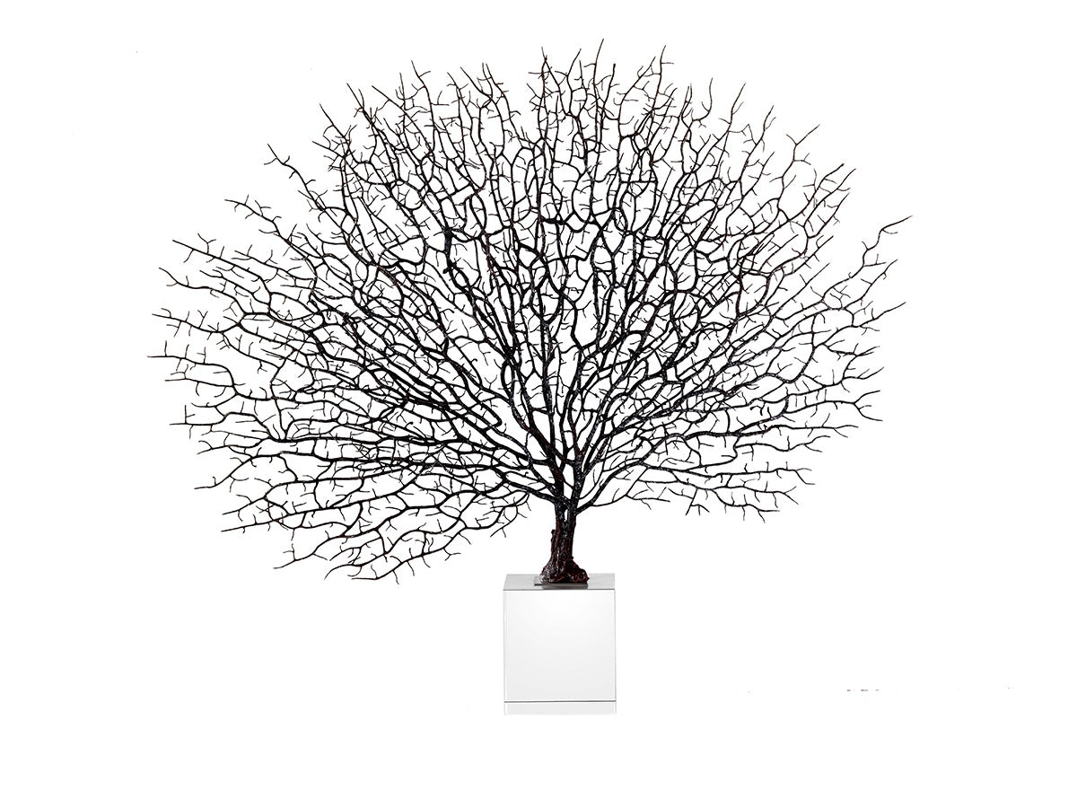 Sea Whip Gorgonian Decorative Accent