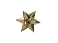 Gold-Plated Porcelain Star Decorative Accent