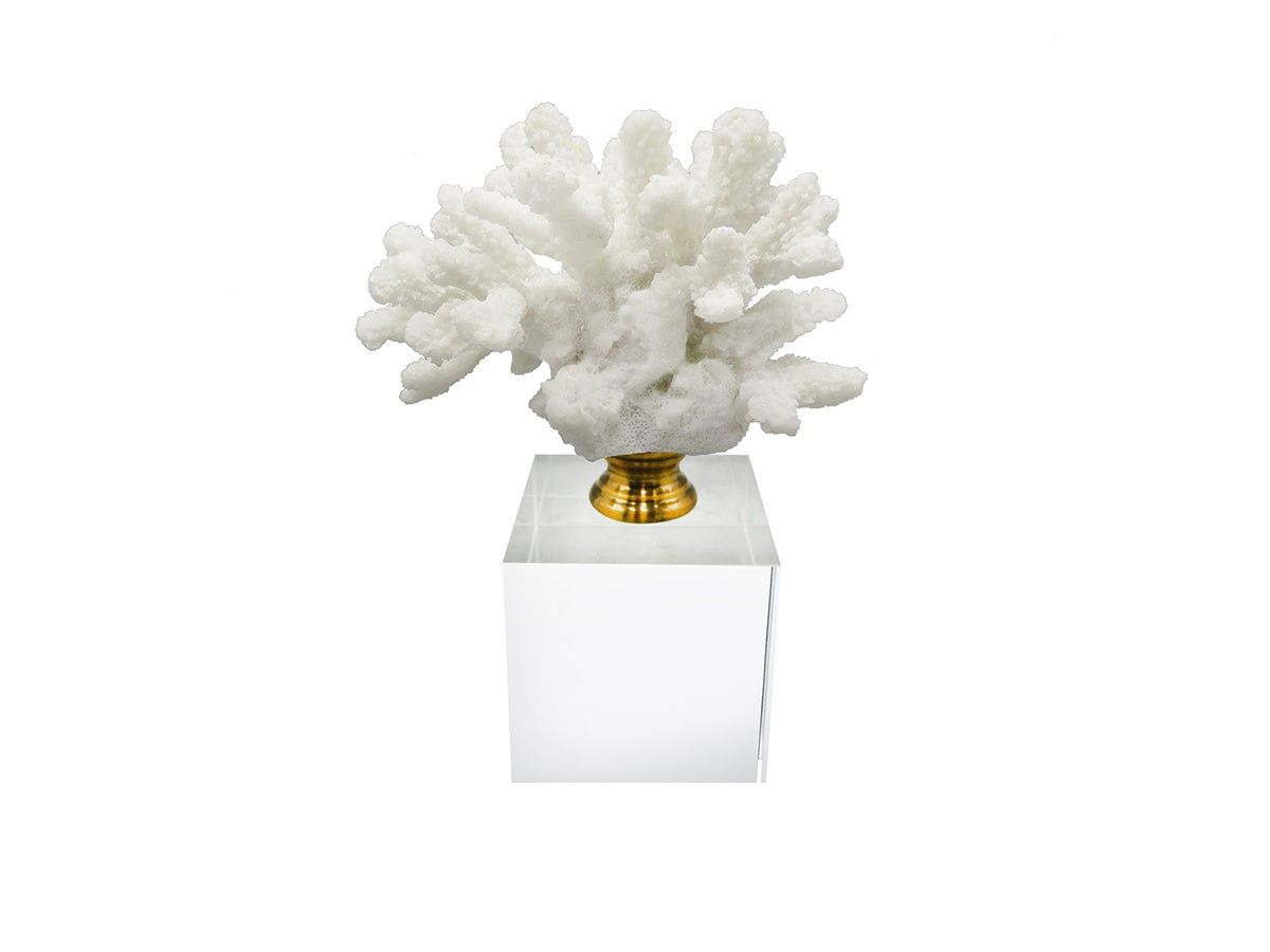 Coral Crystal Decor — Design 4
