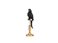 Black The Parrot Décor