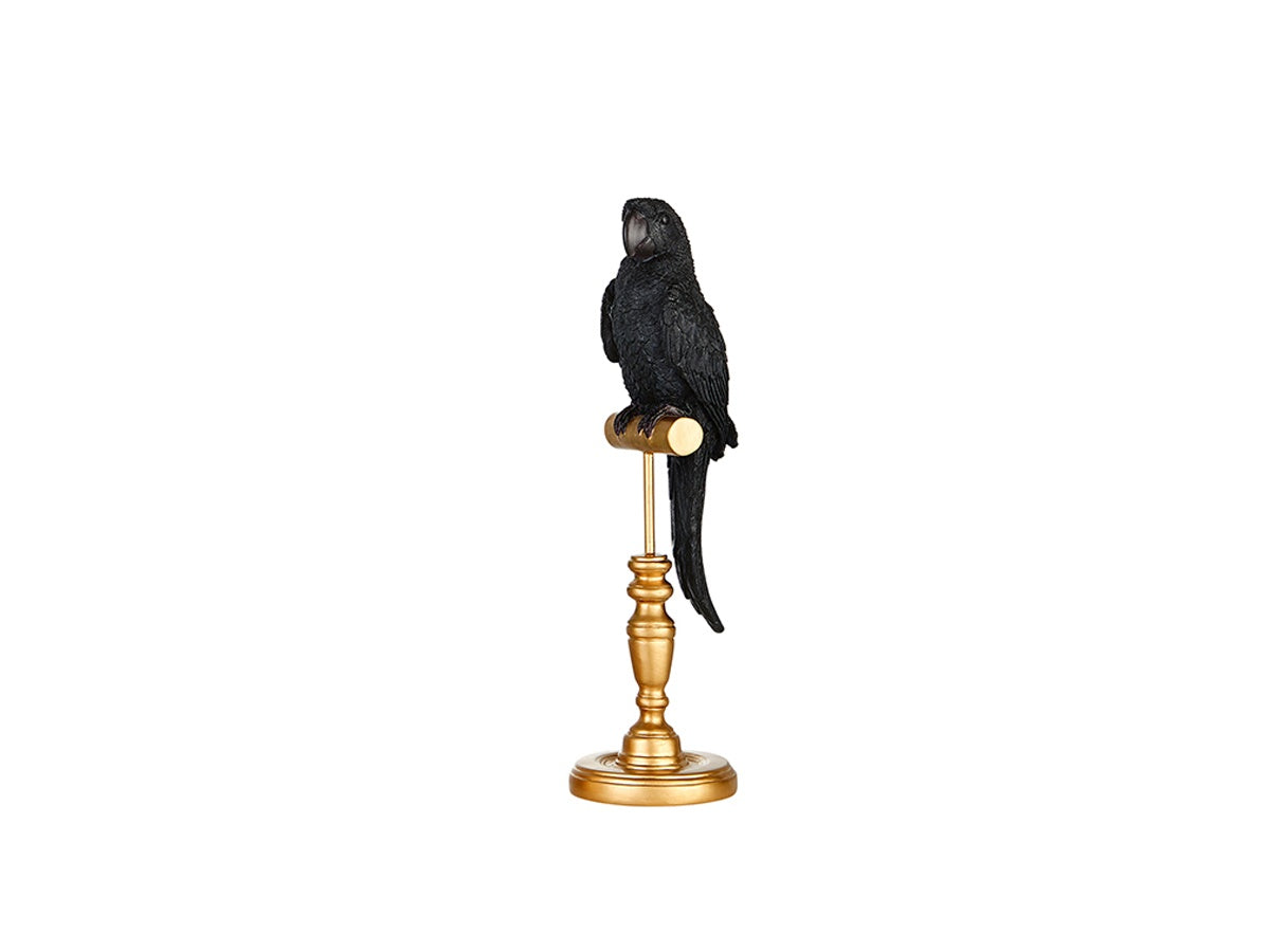 Black The Parrot Décor